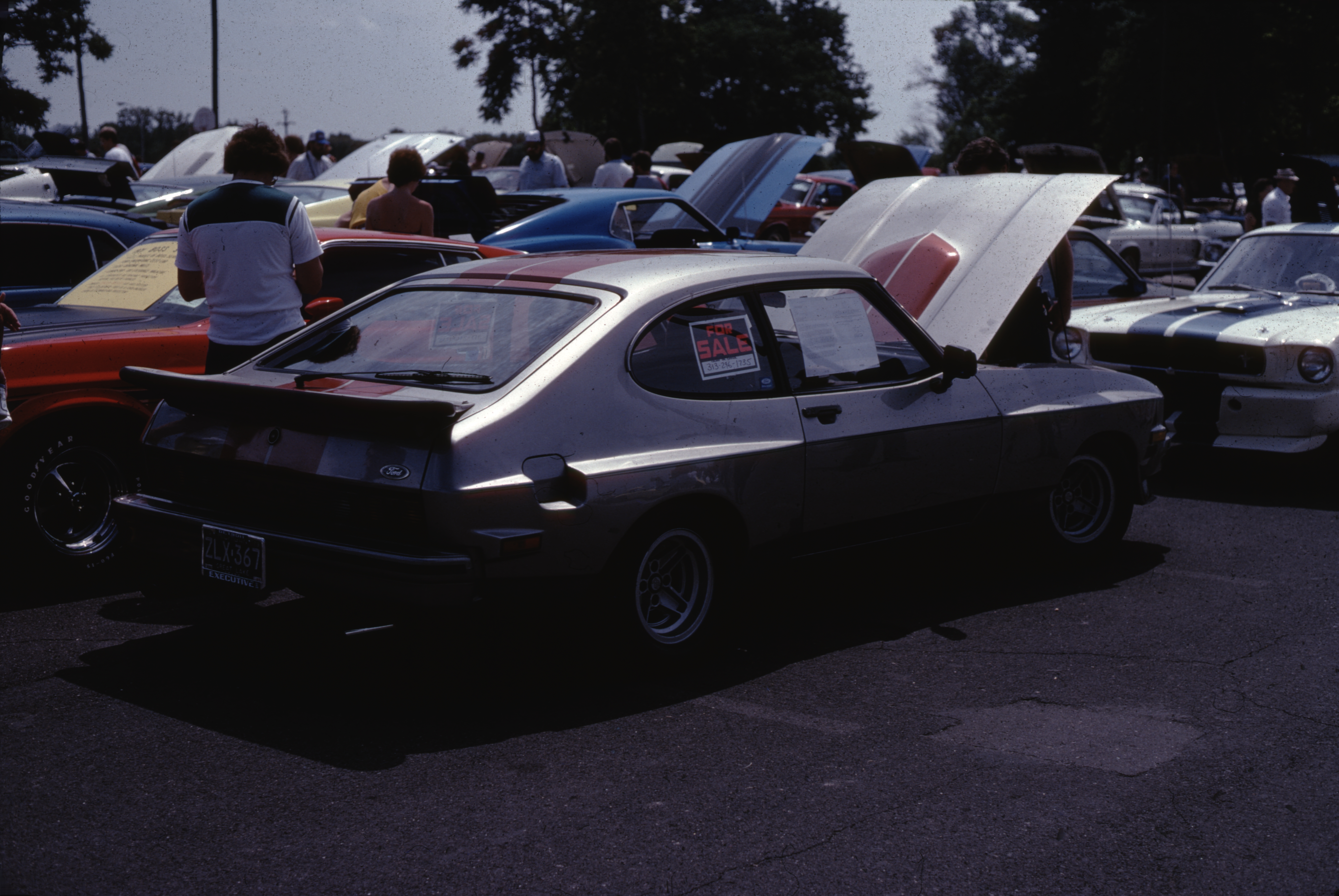 [SAAC8_R40_image01]