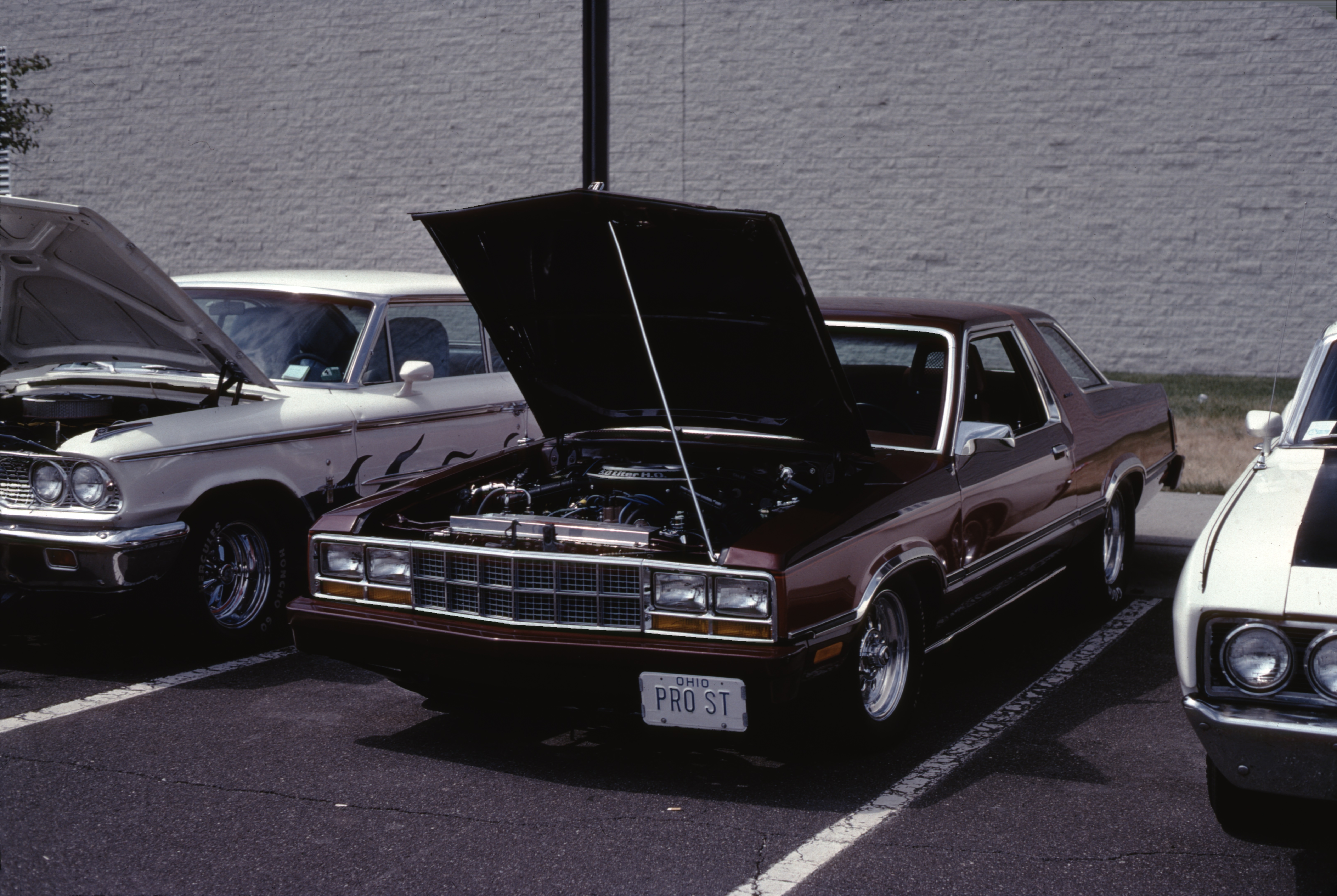 [SAAC8_R40_image05]